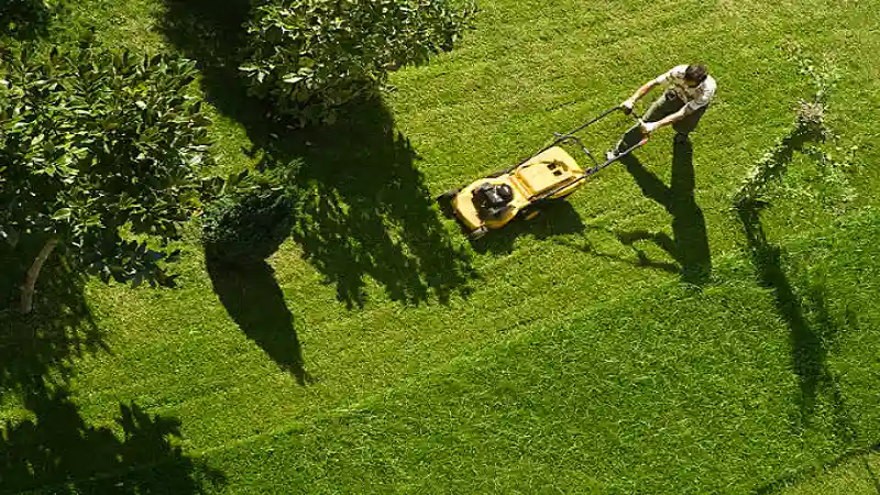 Right Grass