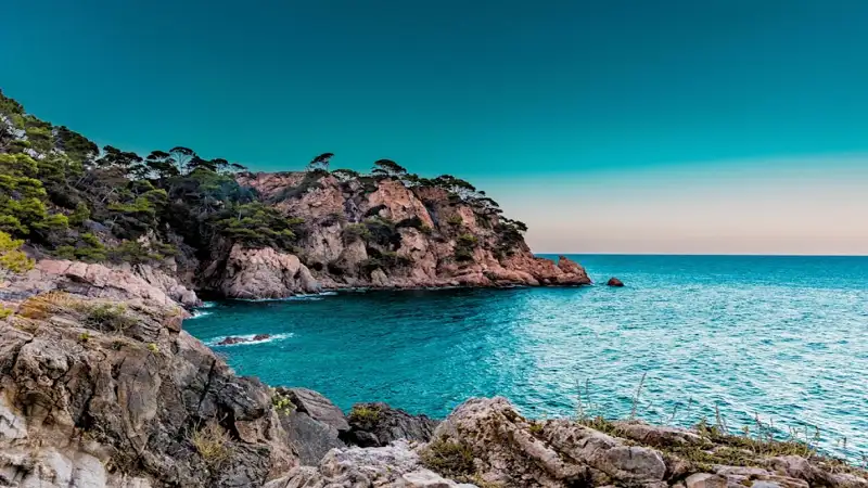 Reconnect with Nature: Wild Coast Accommodation Specials in South Africa