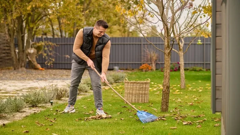 Lawn